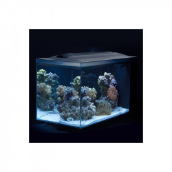 ACUARIO MARINO FLUVAL EVO 52 LITROS