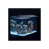 ACUARIO MARINO FLUVAL EVO 52 LITROS