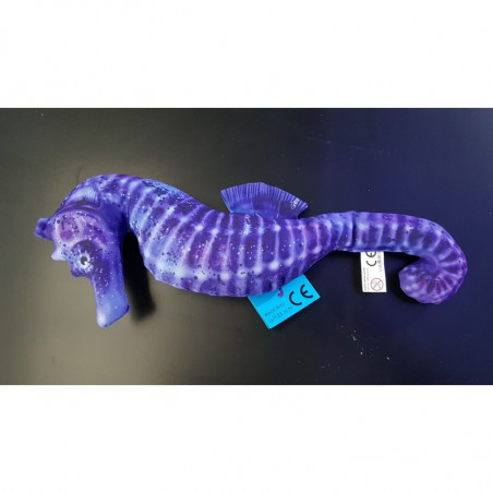 Microsorium WINDELOEV