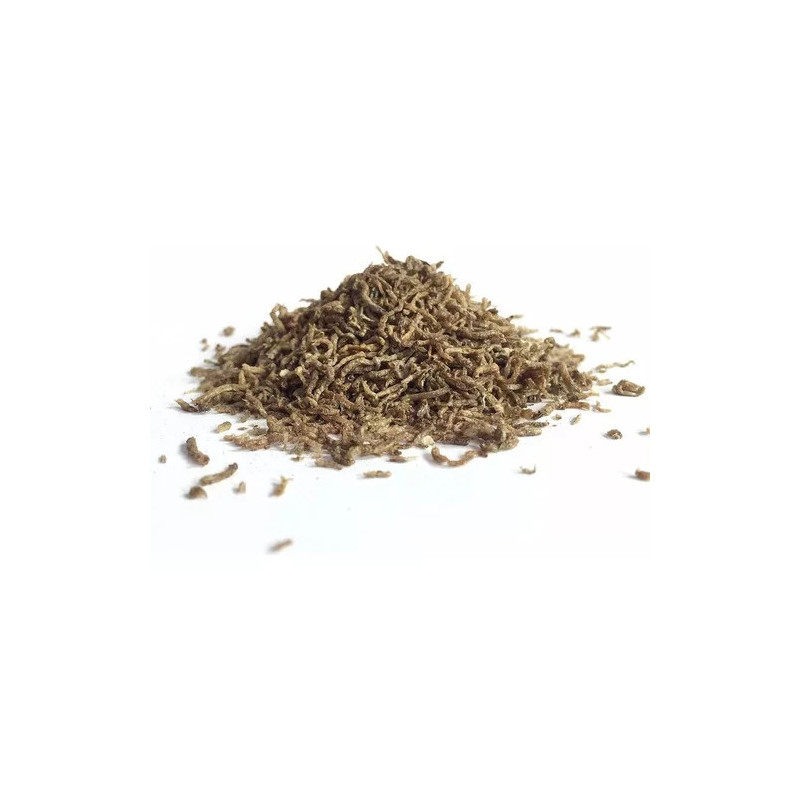 LARVA ROJA 130ML AZOO