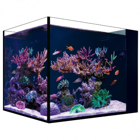 Nano Desktop Península Red Sea ( Incluye Skimmer y auto relleno )
