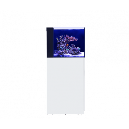 Nano Desktop Península Red Sea + mesa ( Envio Gratis )