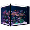 Nano Desktop Península Red Sea + mesa ( Envio Gratis )