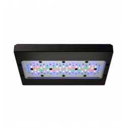 Radion XR30 G6 BLUE LED  ( ENVIO GRATIS )