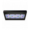 Radion XR30 G6 BLUE LED  ( ENVIO GRATIS )