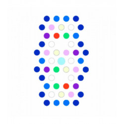 Radion XR15 G6 PRO ( ENVIO GRATIS )