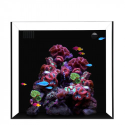 WATER BOX AIO CUBE 20 + Mesa 4 colores ( Envio Gratis )