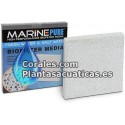 MARINE PURE PLATE 20x20x2,5 cm